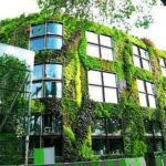 Вертикальное озеленение: как оживить офисный интерьер