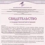 Основные аспекты по сертификации и декларированию продукции